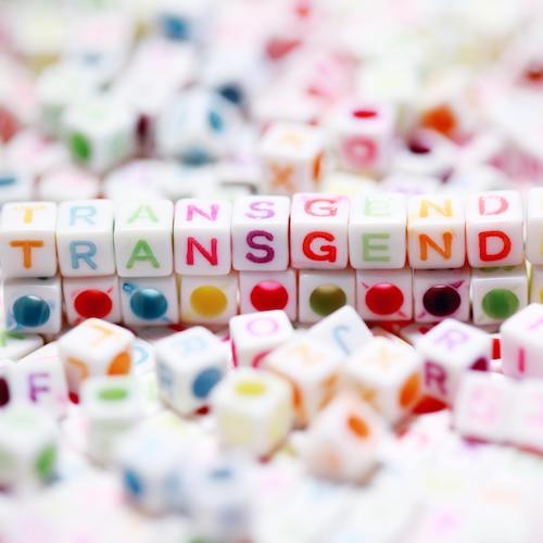 TransX – Verein für Transgender Personen